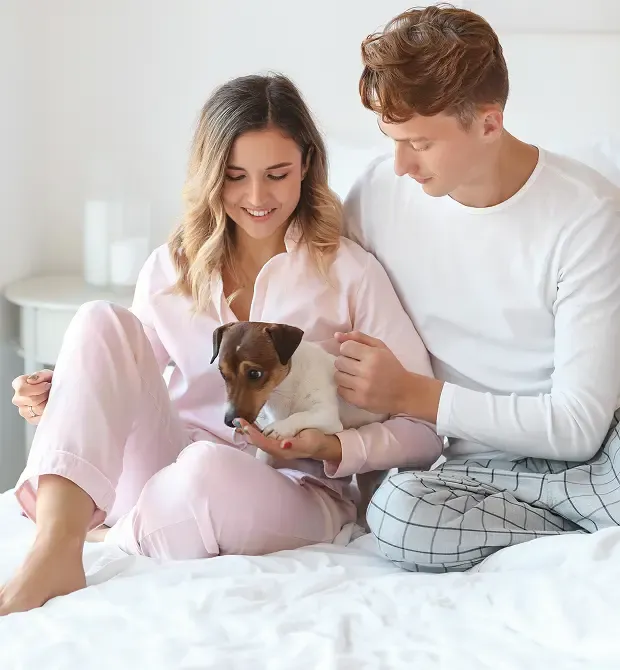 Happy cat receiving care