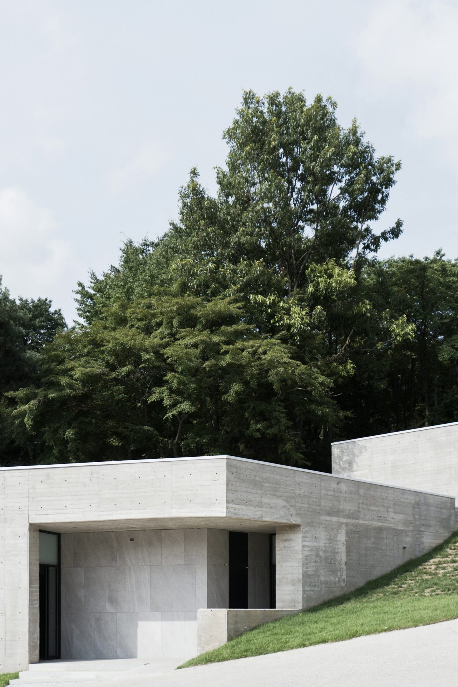Minimal concrete home surrounded by trees