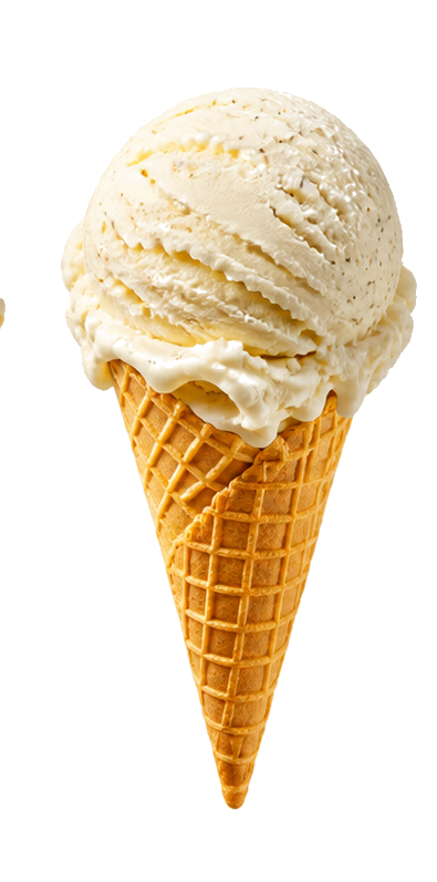 Vanilla bean ice cream